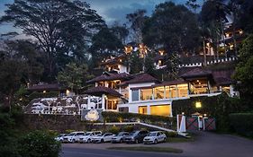 Forest Canopy Thekkady